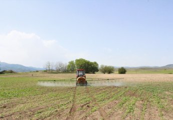 Application of herbicides against one-year dicotyledonous weeds in the agricultural area of the Scientific Research Institute of Animal Husbandry has been started.