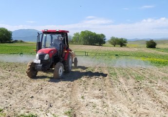 Paradox herbicide is applied to destroy monocotyledonous and dicotyledonous weeds in soybeans.