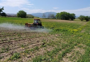 Paradox herbicide is applied to destroy monocotyledonous and dicotyledonous weeds in soybeans.