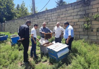 Employees of the Scientific Research Institute of Animal Husbandry of the Ministry of Agriculture of the Republic of Azerbaijan visited Bilasuvar Vocational High School.