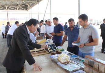 The next Agrarian Innovation Festival was held in Agstafa district.