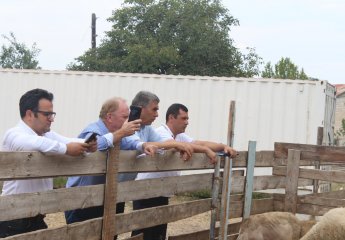 A meeting was held with international consultants of FAO.