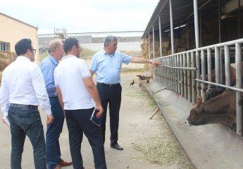 A meeting was held with international consultants of FAO.