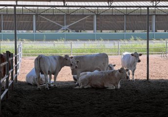 A memorandum on cooperation and service provision was signed between Tovuz Agro LLC and the Scientific Research Institute of Animal Husbandry.