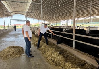 A memorandum on cooperation and service provision was signed between Tovuz Agro LLC and the Scientific Research Institute of Animal Husbandry.