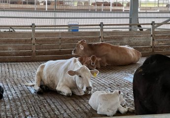 A memorandum on cooperation and service provision was signed between Tovuz Agro LLC and the Scientific Research Institute of Animal Husbandry.