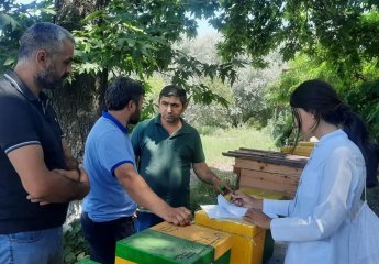 "Beekeeping" Center of SRIAH cooperates with beekeepers.