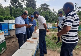 "Beekeeping" Center of SRIAH cooperates with beekeepers.