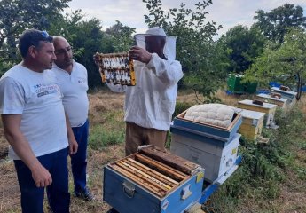 "Beekeeping" Center of SRIAH cooperates with beekeepers.