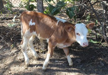 The farm was inspected in connection with the conducted scientific work