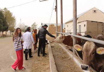 The Scientific Research Institute of Animal Husbandry organized a practical workshop for the 2nd year students of the Veterinary Specialty of the Azerbaijan State Agrarian University