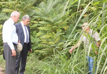 The next meeting was held according to the joint cooperation agreement concluded between the Scientific Research Institute of Animal Husbandry and the Institute of Genetic Resources