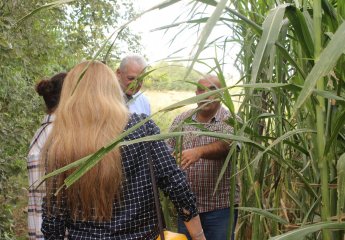 The next meeting was held according to the joint cooperation agreement concluded between the Scientific Research Institute of Animal Husbandry and the Institute of Genetic Resources