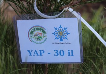 Events dedicated to the 30th anniversary of the establishment of the Party are held in the Territorial Party organizations of the New Azerbaijan Party (YAP) Goygol district organization