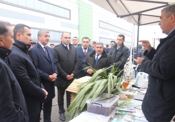 Agrarian Innovation Festival was held in Shamkir region