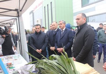 Agrarian Innovation Festival was held in Shamkir region