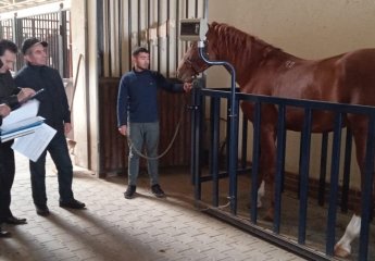 Cooperation between SRIAH and "Karabakh Equestrian Complex"