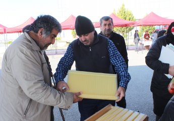 Yevlax şəhərində Aqrar Biznes Festivalı keçirilib