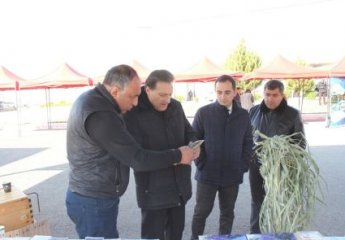 Yevlax şəhərində Aqrar Biznes Festivalı keçirilib