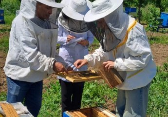 Further training sessions have been conducted for an employee of the Nakhchivan Agricultural Scientific Research Institute at the Scientific Research Institute of Animal Husbandry