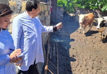 Further training sessions have been conducted for an employee of the Nakhchivan Agricultural Scientific Research Institute at the Scientific Research Institute of Animal Husbandry