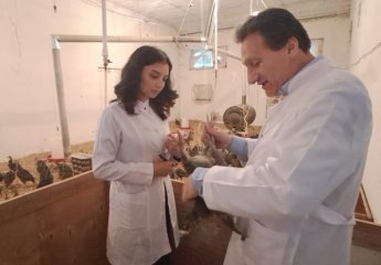 Further training sessions have been conducted for an employee of the Nakhchivan Agricultural Scientific Research Institute at the Scientific Research Institute of Animal Husbandry