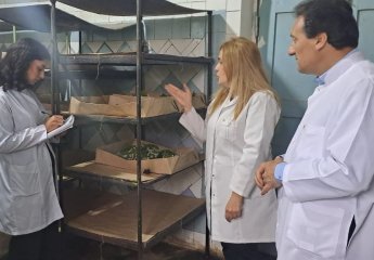 Further training sessions have been conducted for an employee of the Nakhchivan Agricultural Scientific Research Institute at the Scientific Research Institute of Animal Husbandry