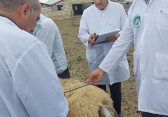 A visit was conducted to the sheep farming facilities in Agjabadi district