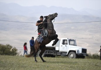 Azərbaycanda ilk dəfə Göygöl rayonunda “Moruq Festivalı” keçirilib.